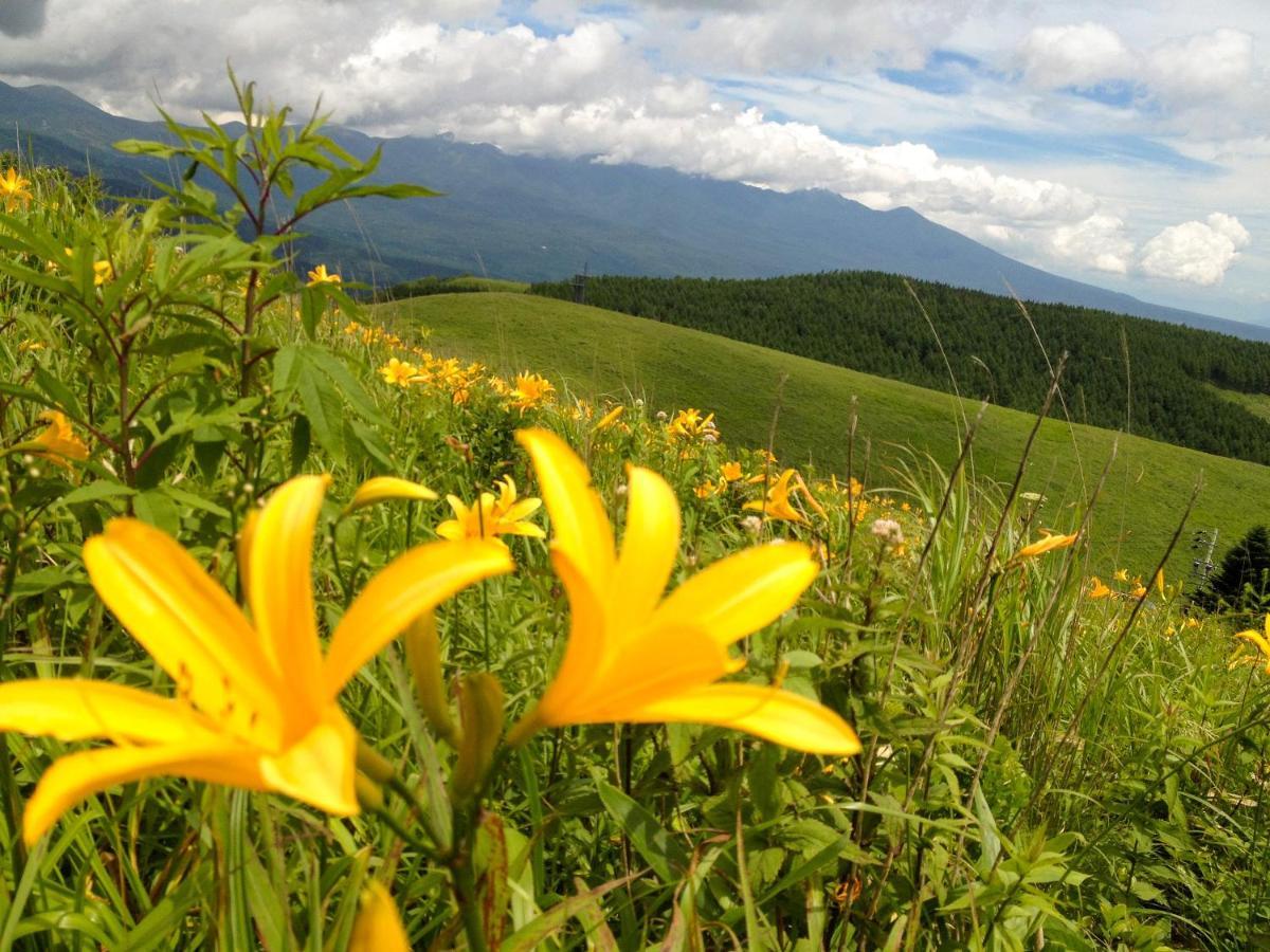 Pension Wildflowers Tateshina  Exterior photo
